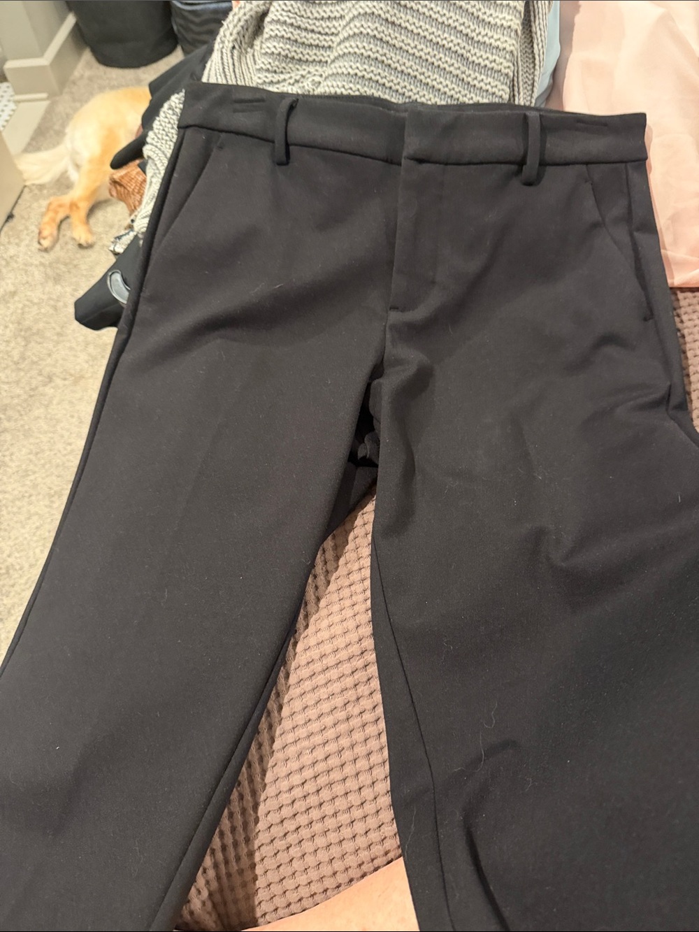 Womens Black Dress Pants - Classic Tailored Fit